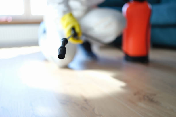 Best Emergency Mold Remediation  in South Bound Brook, NJ
