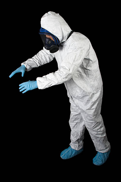 Mold Documentation for Insurance Claims in South Bound Brook, NJ