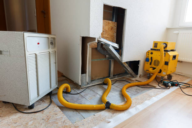 Best Mold Odor Removal Services  in South Bound Brook, NJ